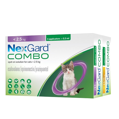 pipette vermifuge chat nexgard combo
